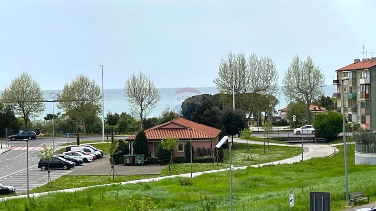 UMAG
