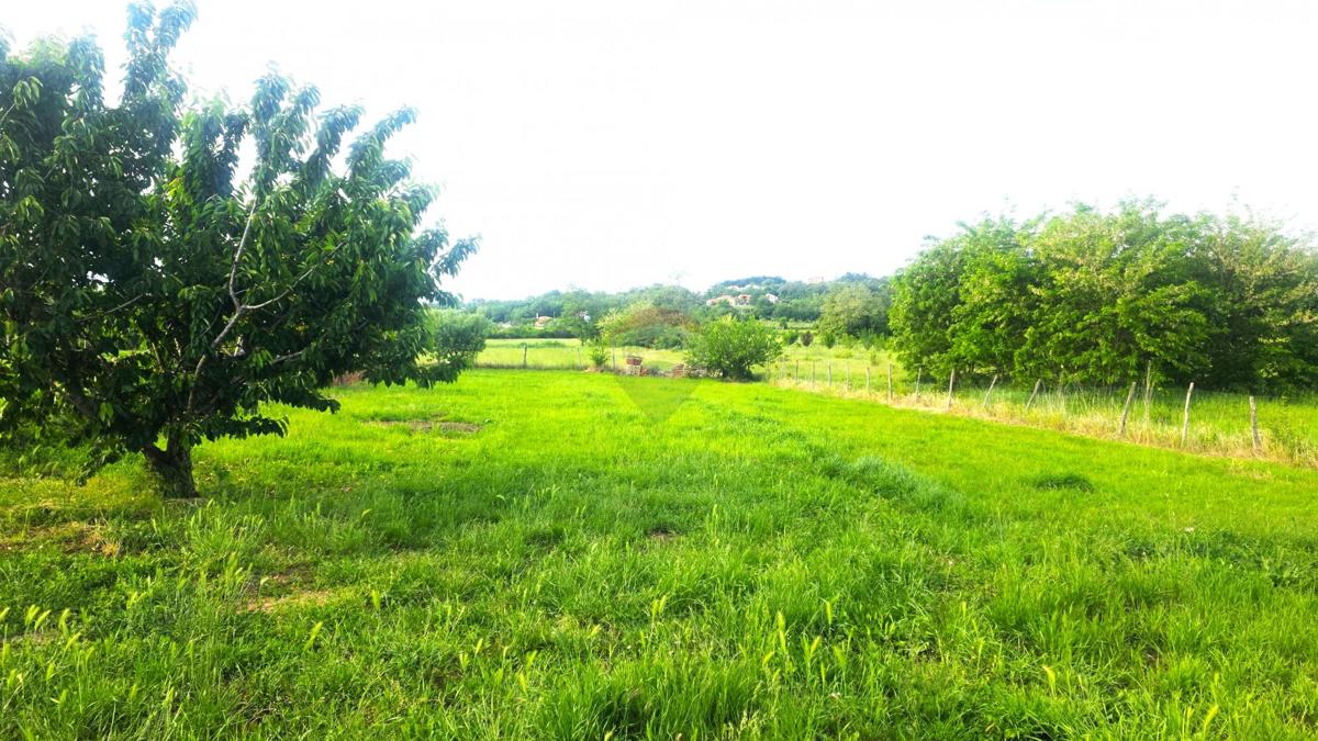 MATERADA