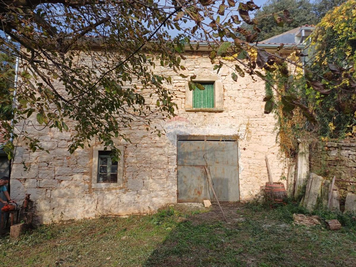 RAKALJ