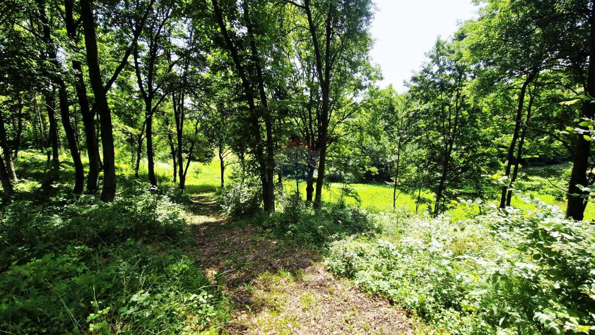 KRAVARSKO