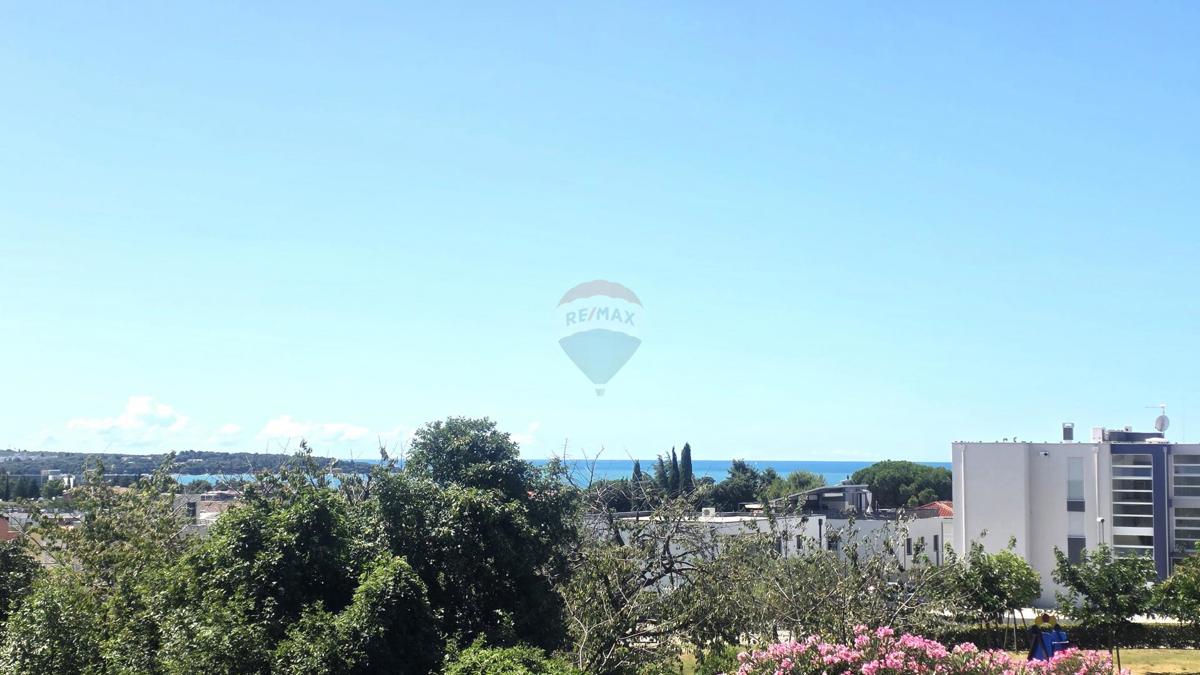 NOVIGRAD