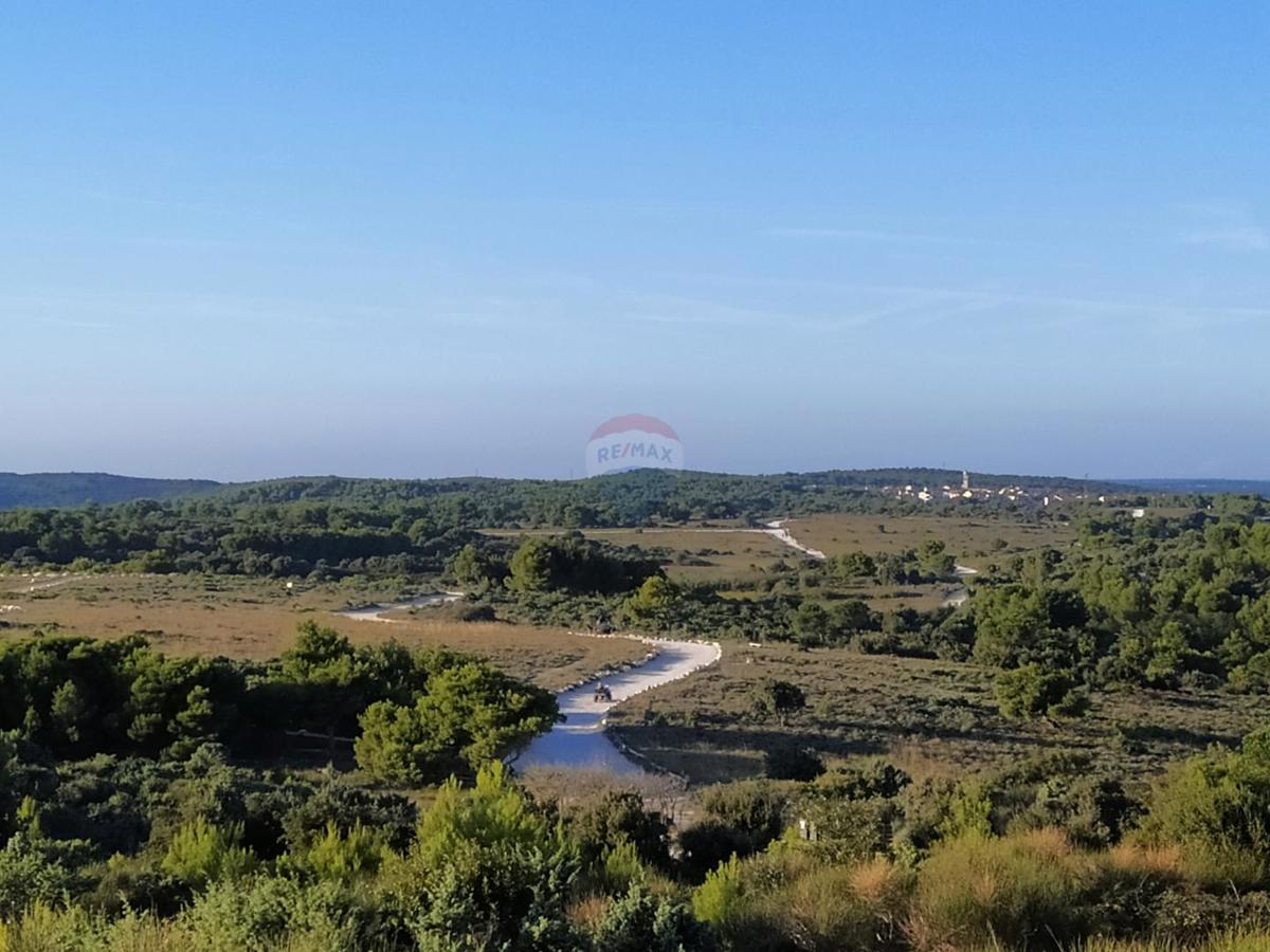 PREMANTURA