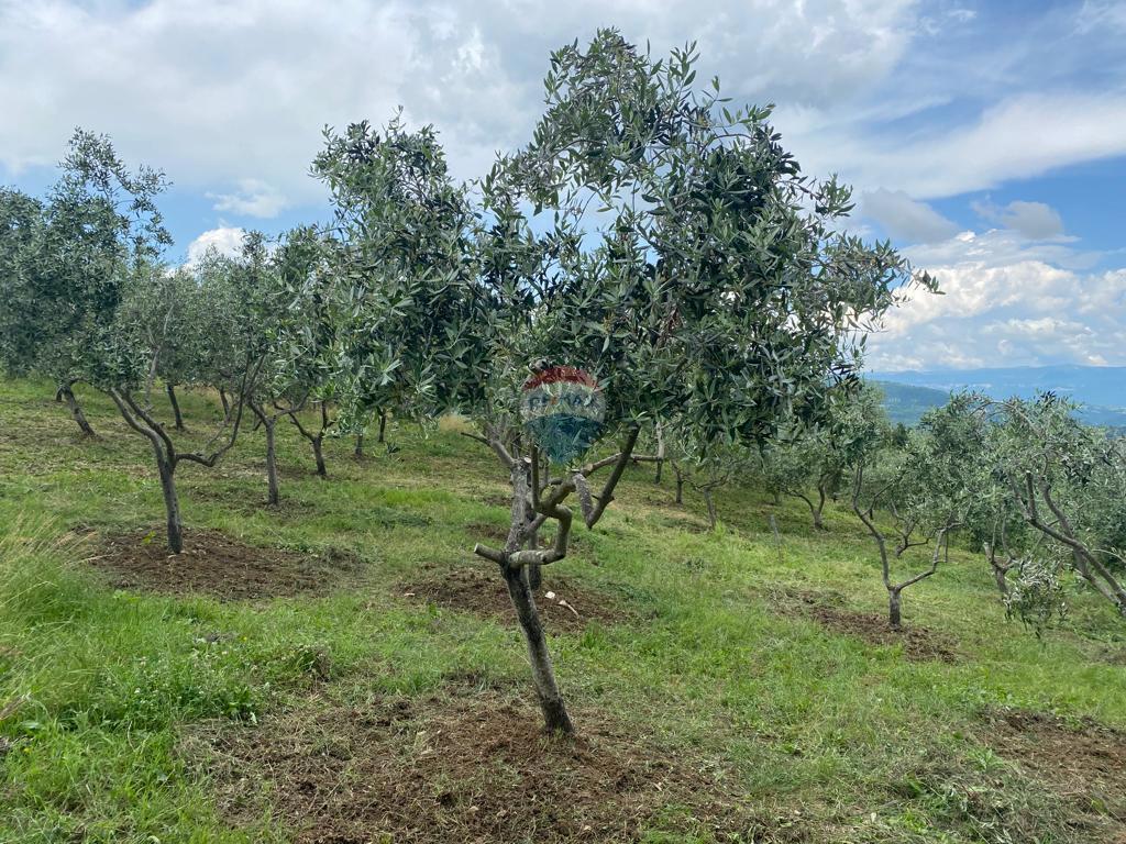 Terreno CEROVLJE, 500.000 €