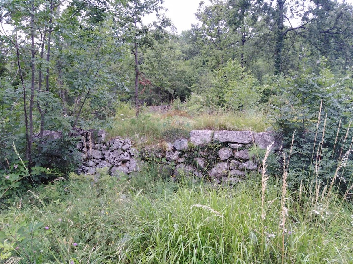 RUKAVAC
