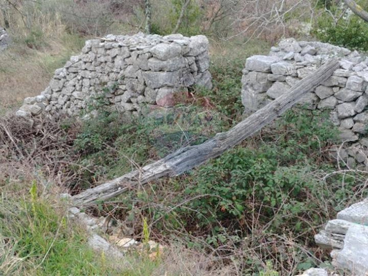 BRSEČ