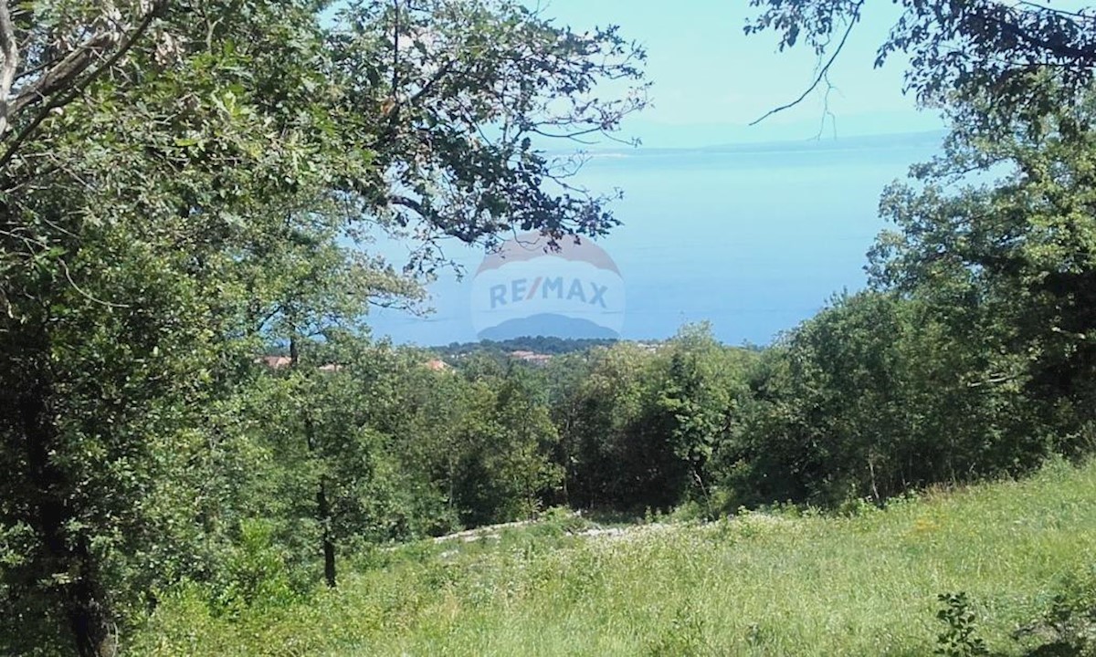 POLJANE
