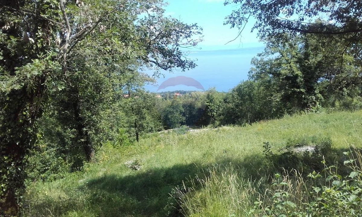 POLJANE