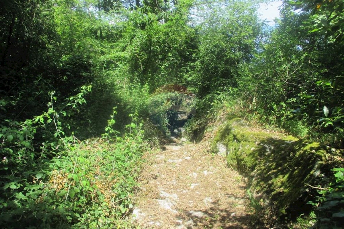 LIGANJ