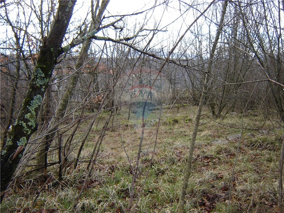 KOSI
