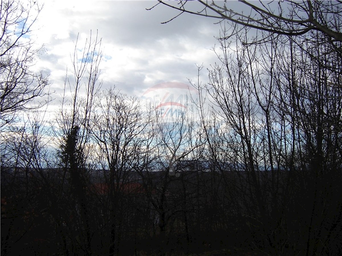 KOSI