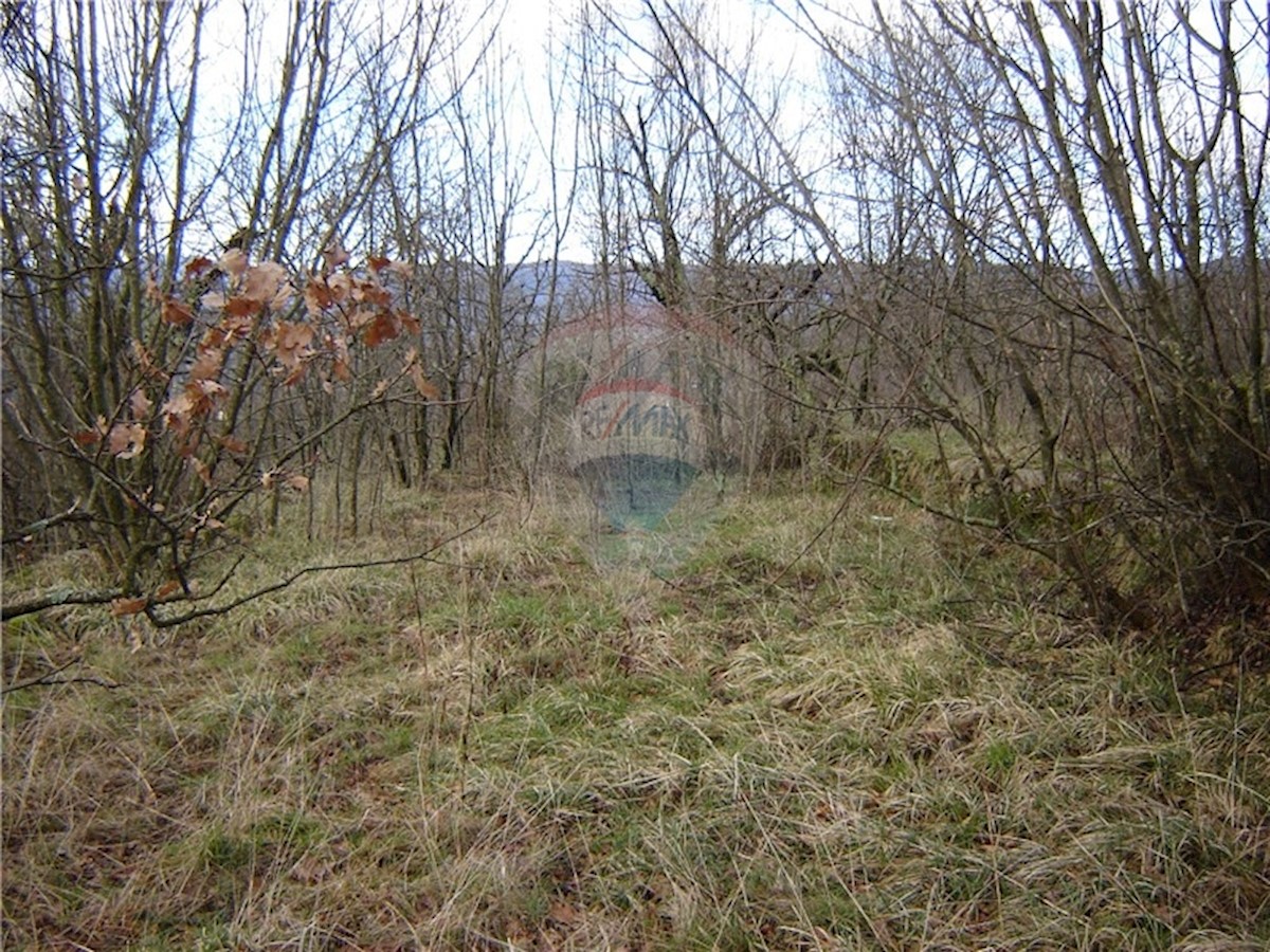KOSI