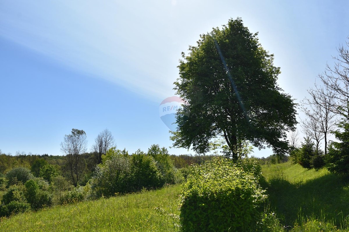 ERDELJ