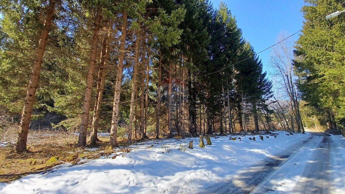 JASENAK