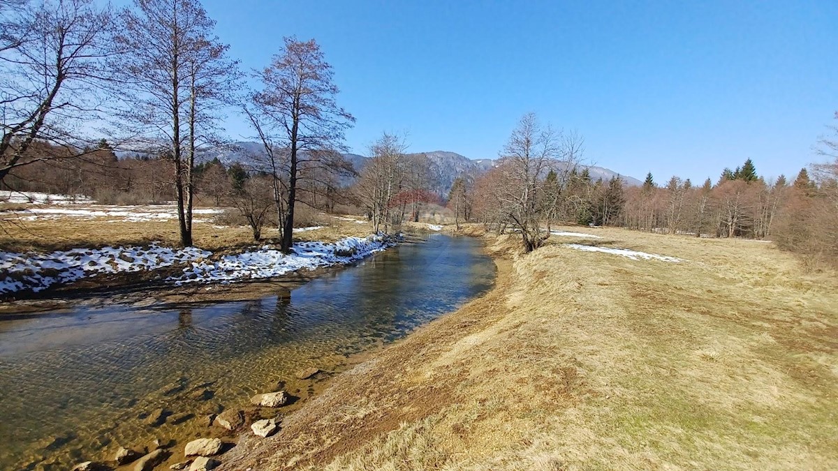 JASENAK