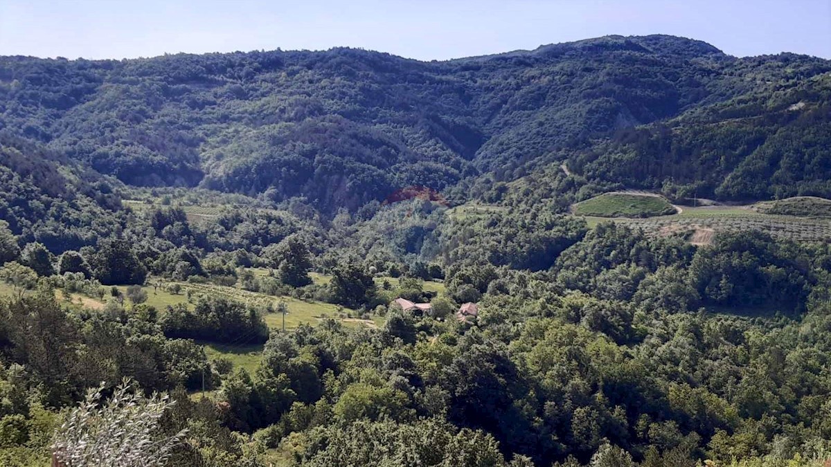 DRAGUĆ