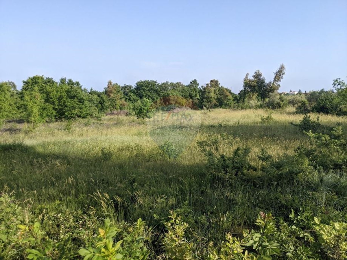 MARČANA