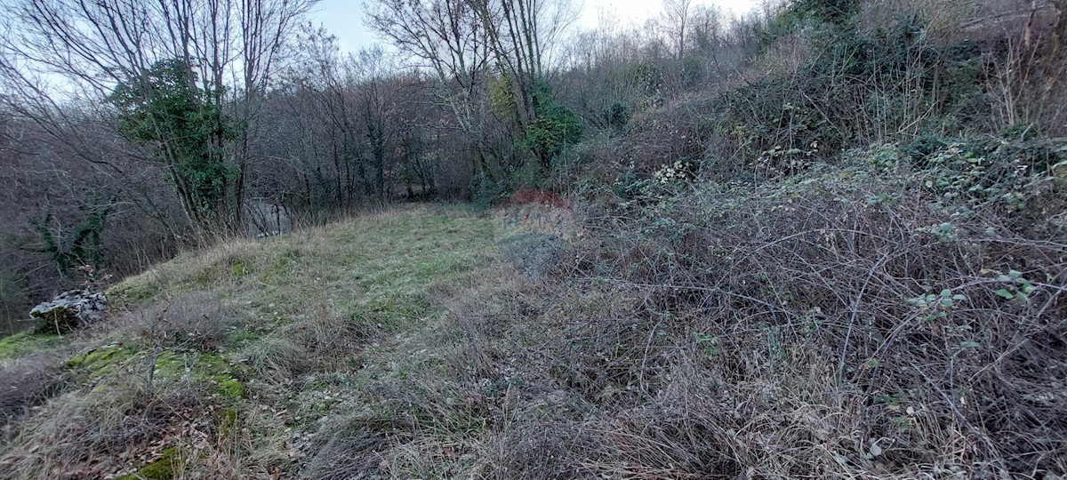 RUKAVAC
