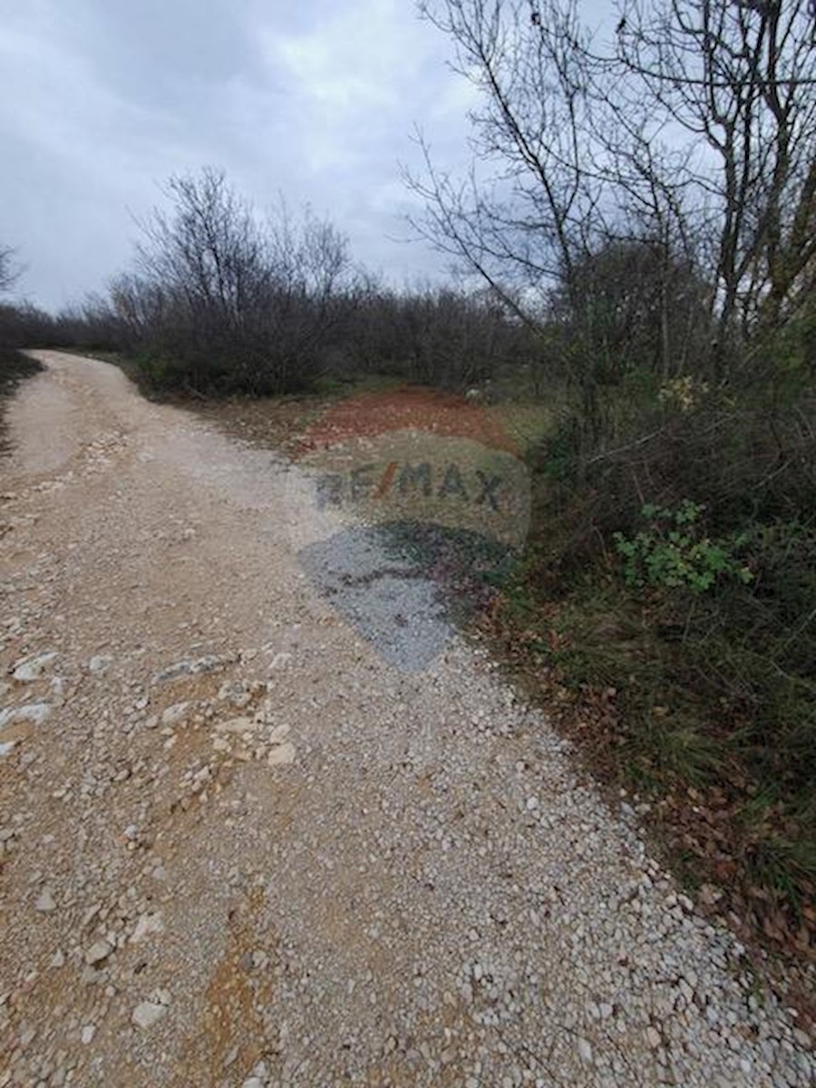 VRBNIK