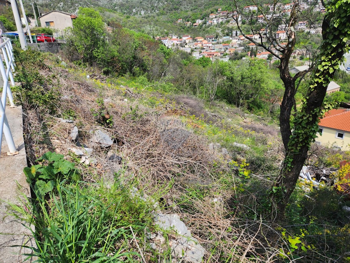 CERNIK