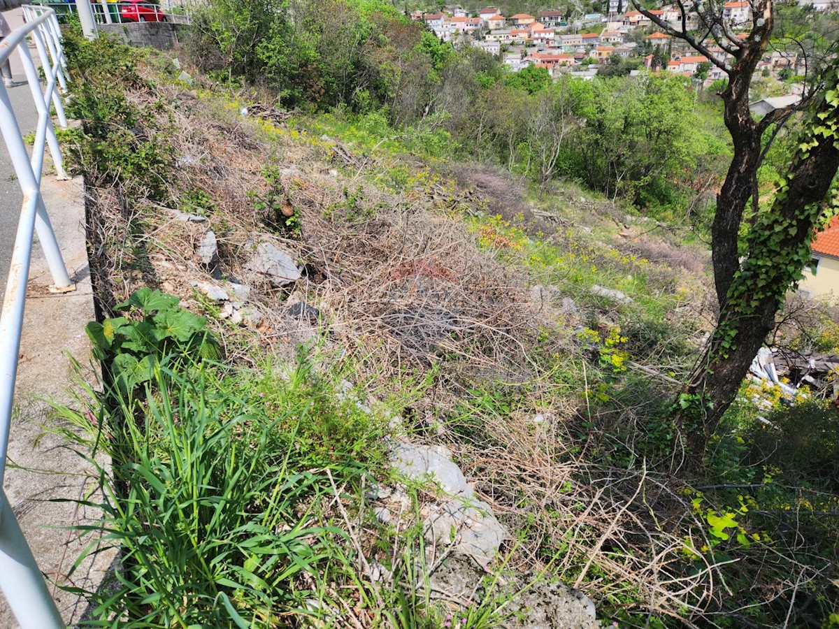 CERNIK