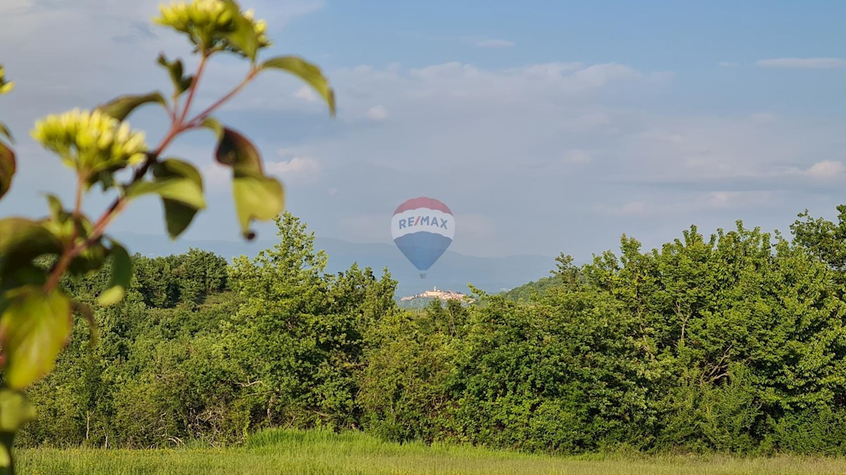 VIŽINADA