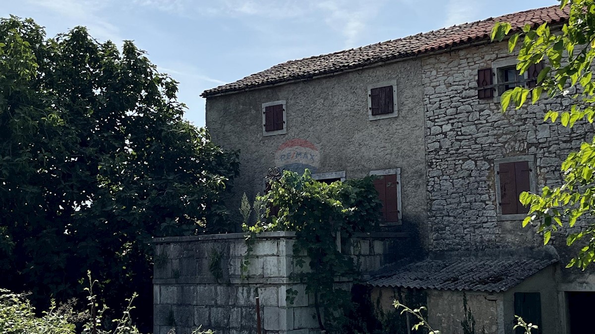 VIŠNJAN
