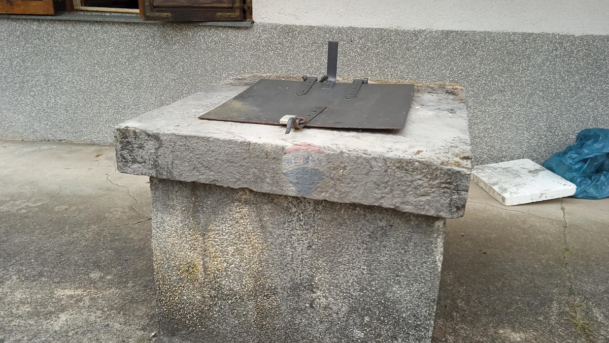 RADIGOJNA