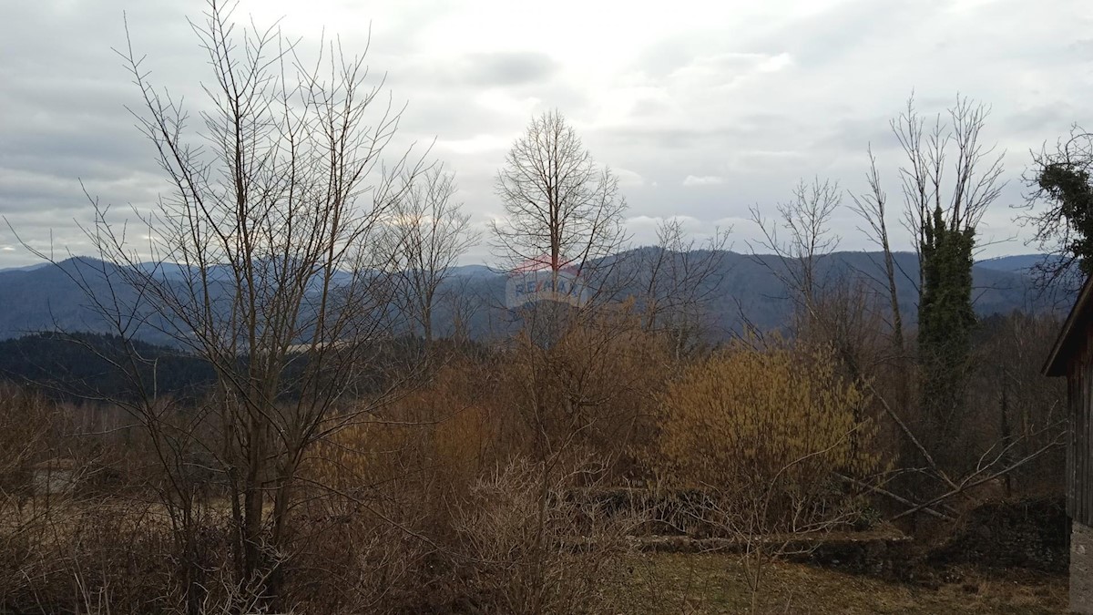 RADIGOJNA