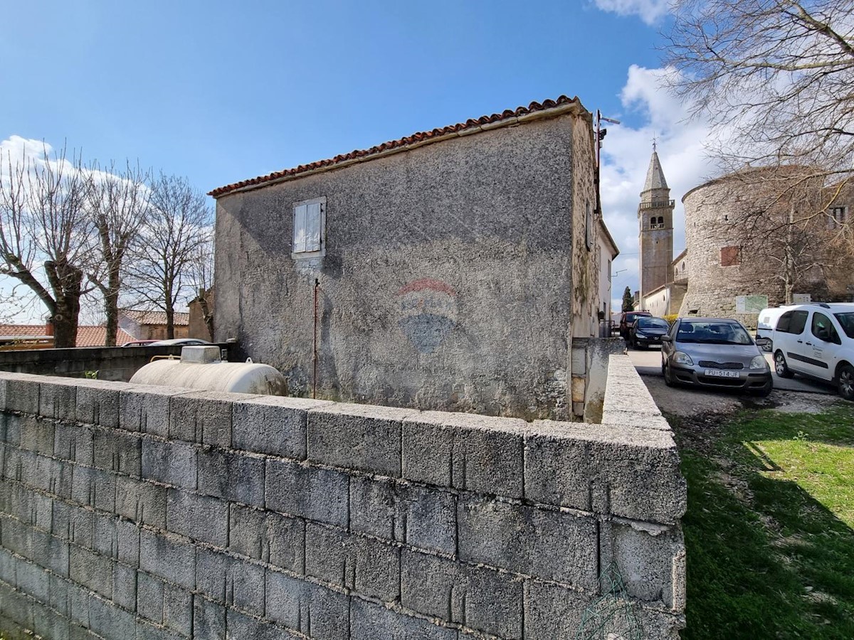 ŽMINJ
