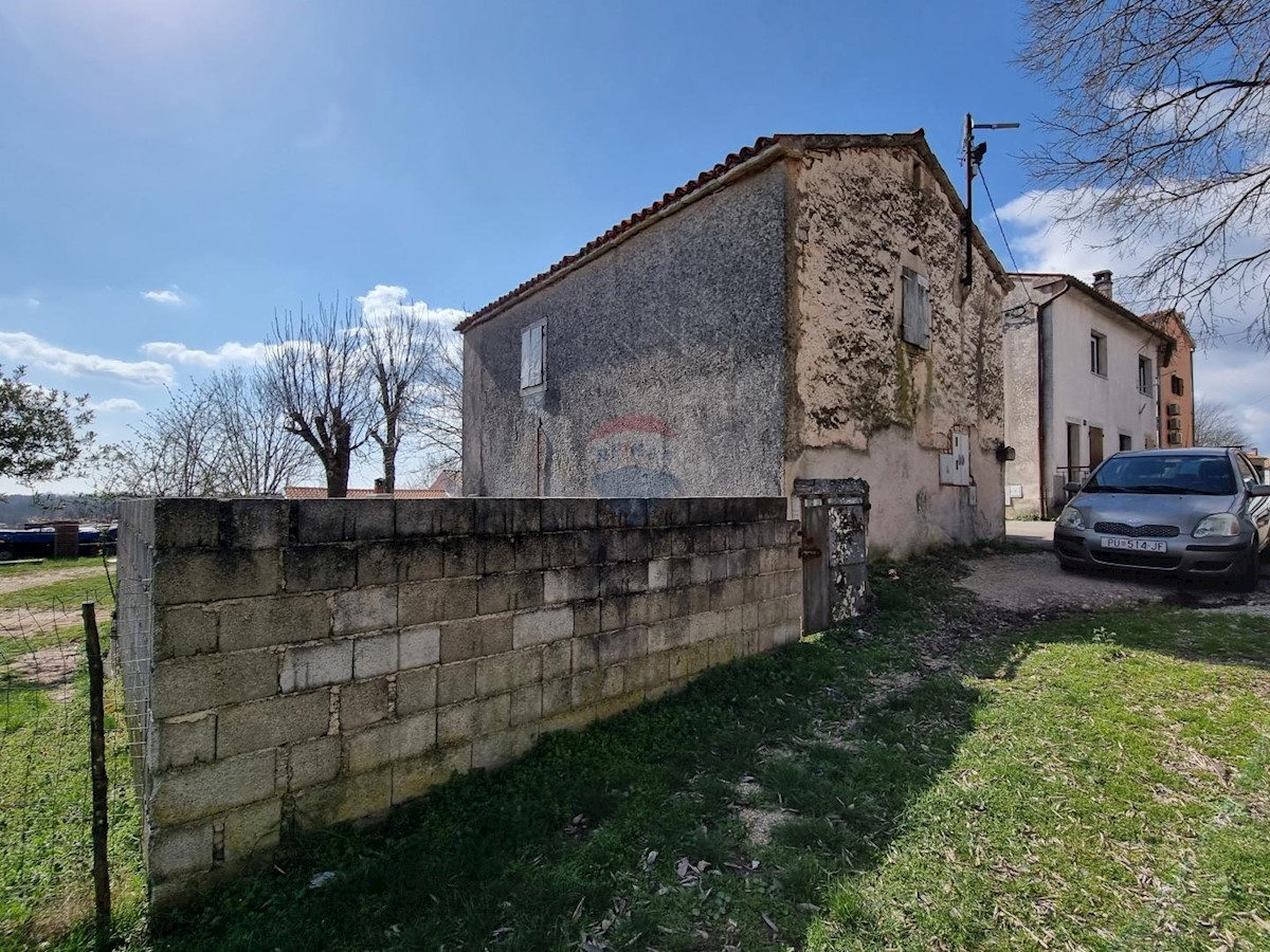 ŽMINJ