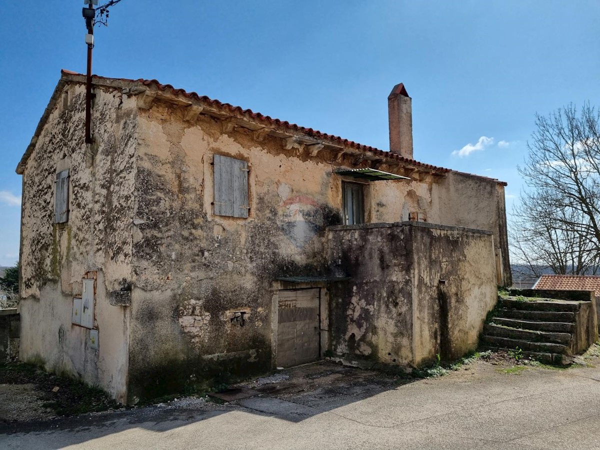 ŽMINJ