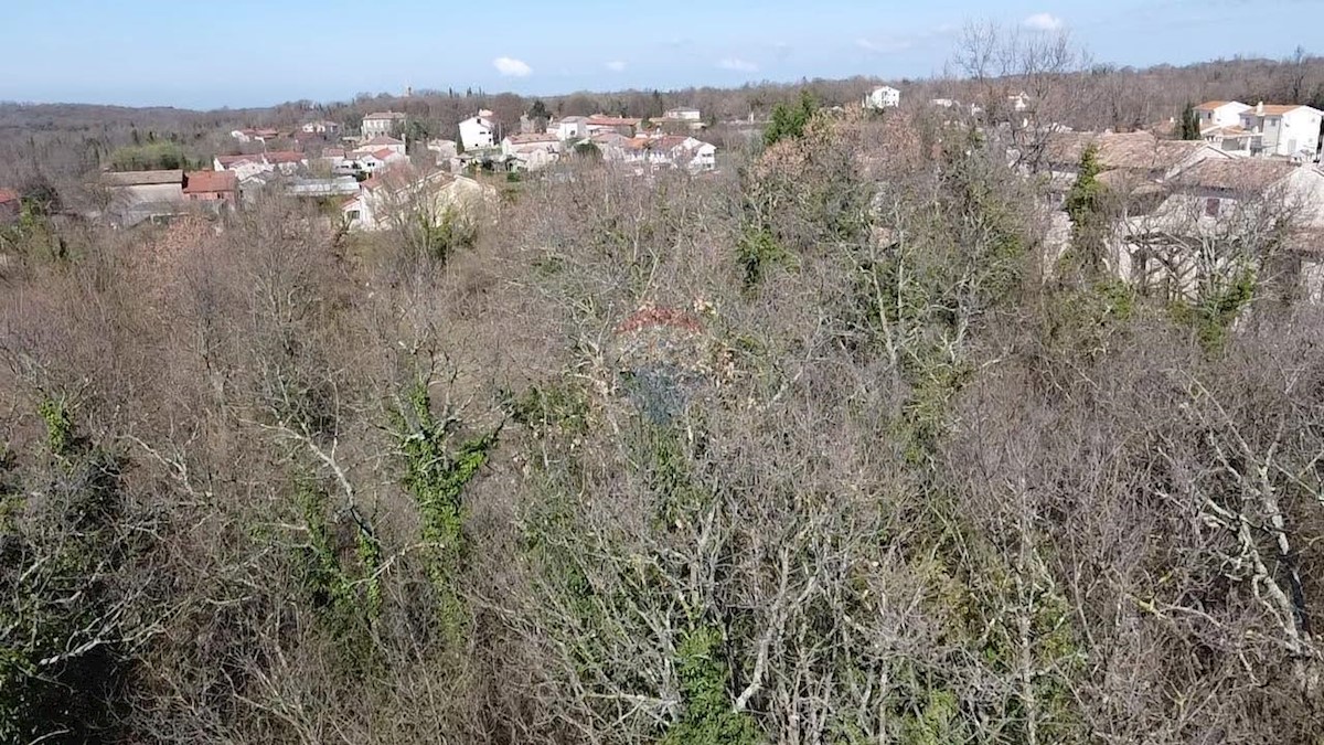 TINJAN