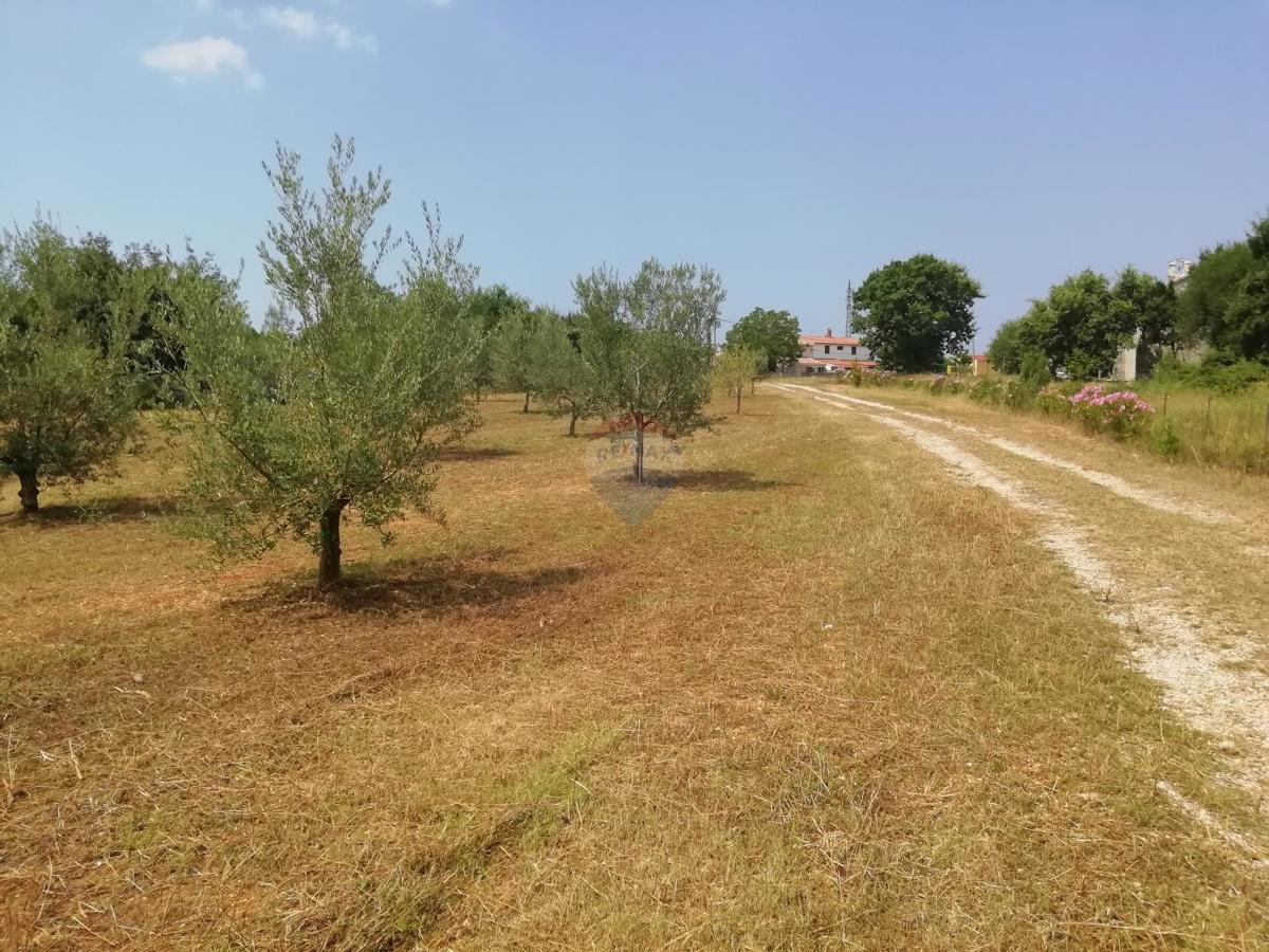 VODNJAN