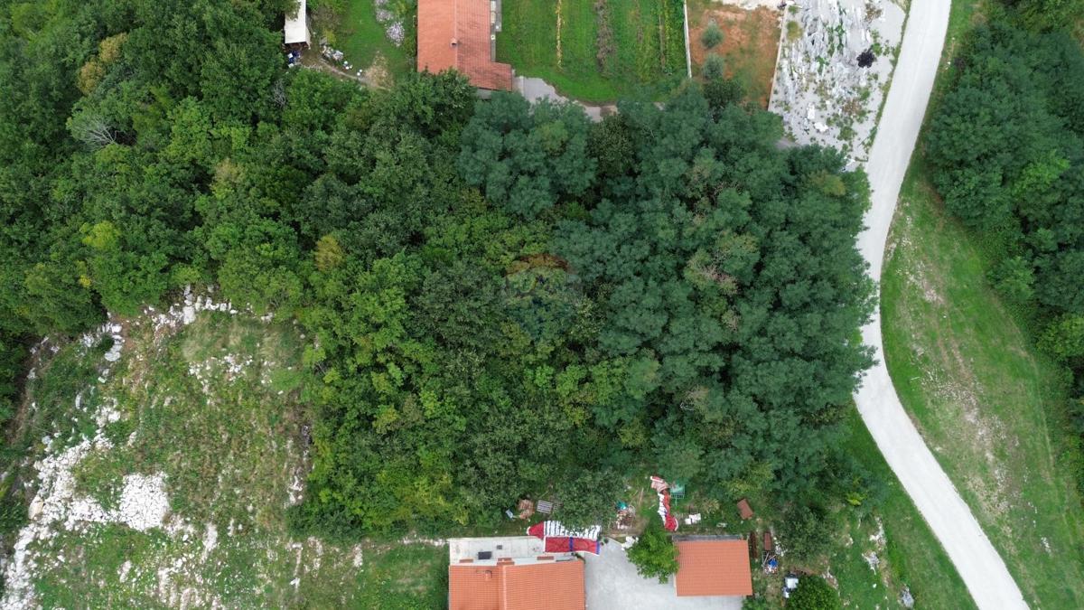 PIĆAN