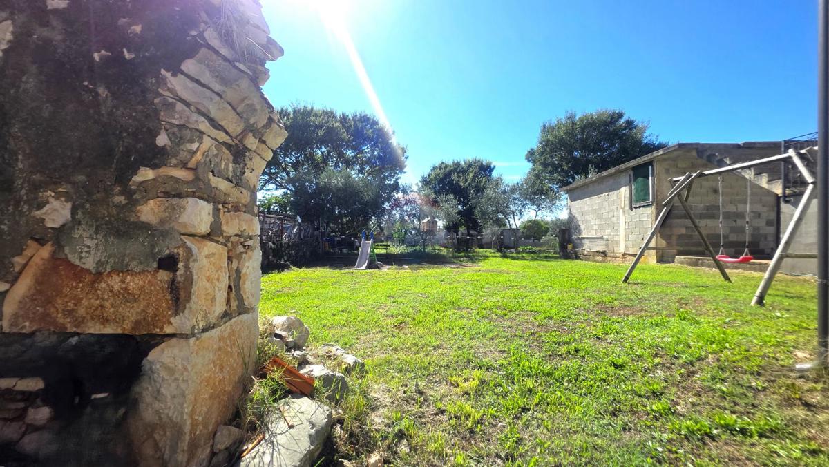 UMAG