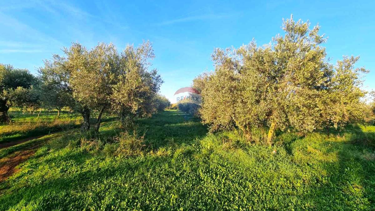 Участок UMAG, 32.000 €