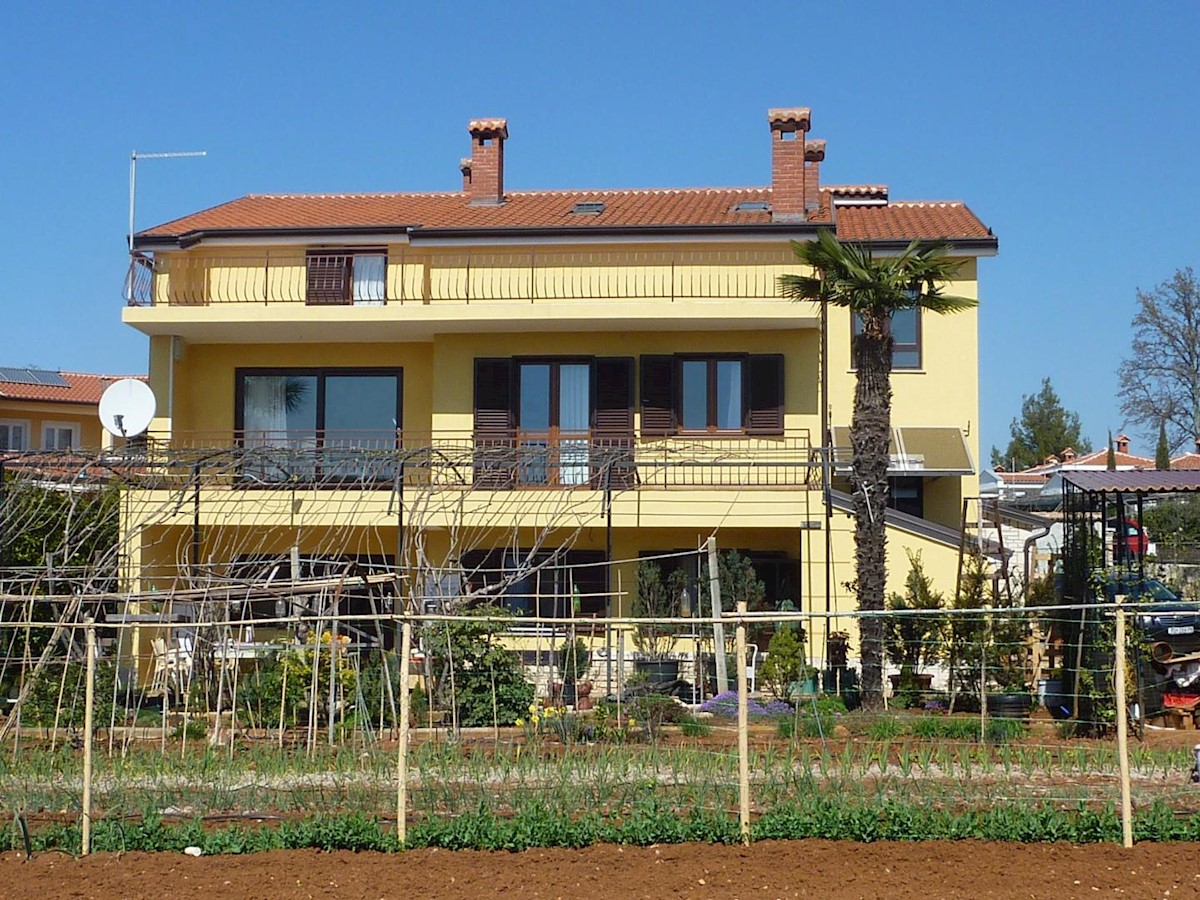 BUIĆI