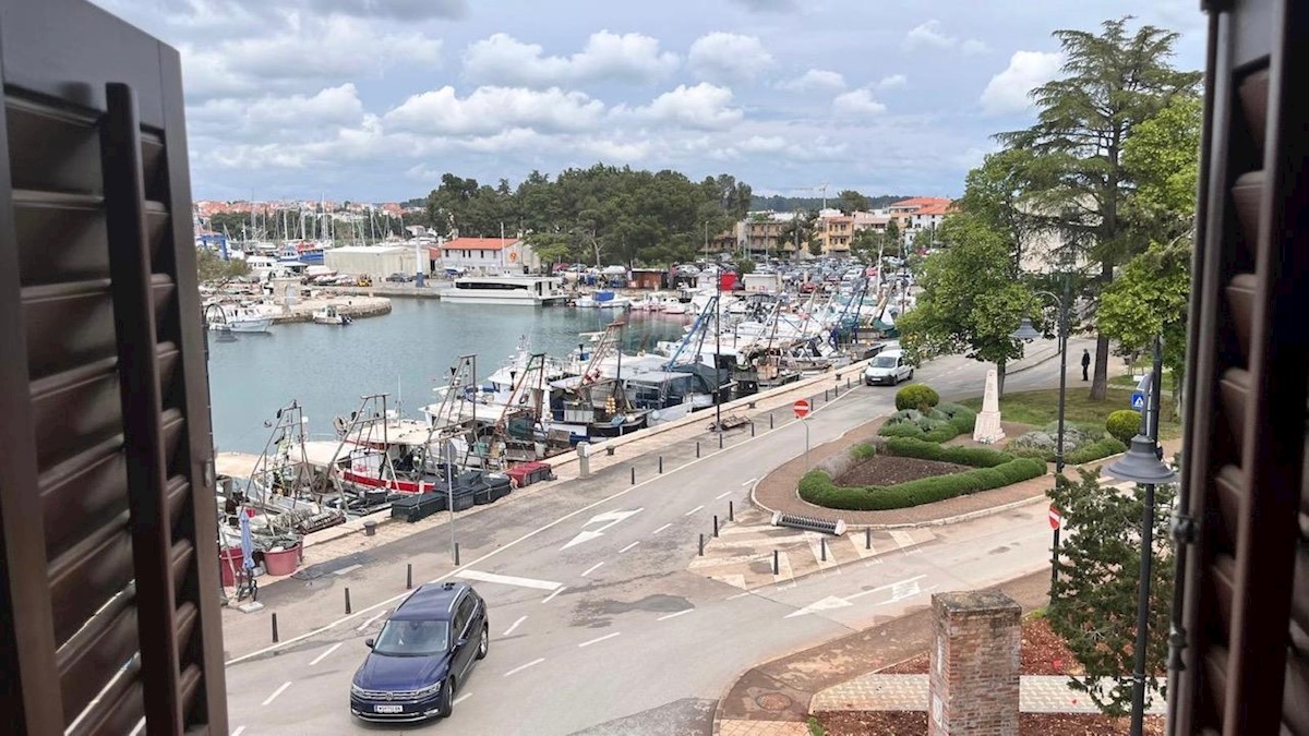 NOVIGRAD