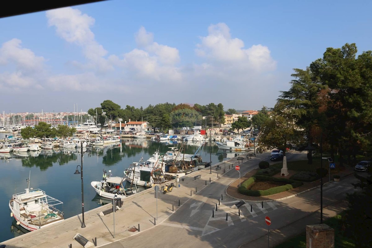 NOVIGRAD