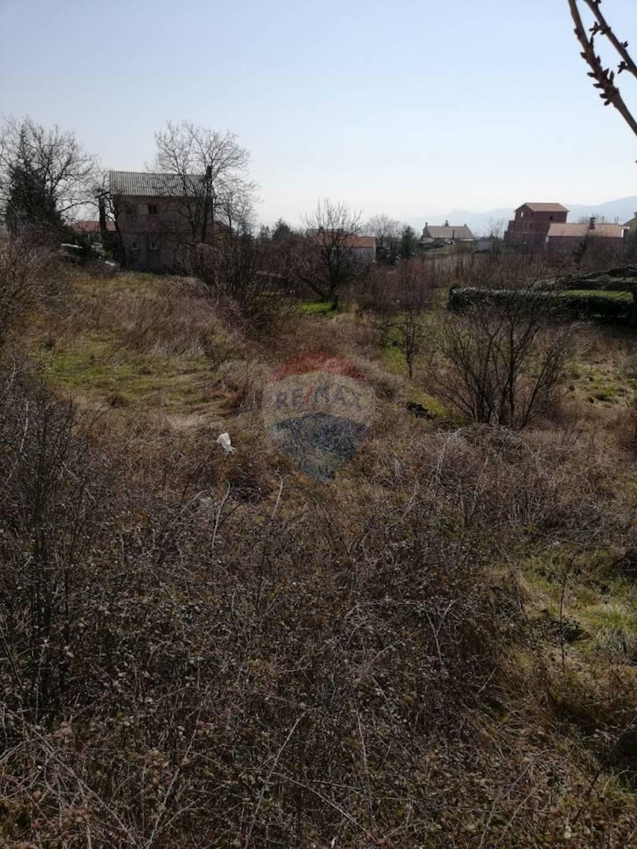 MARČELJI