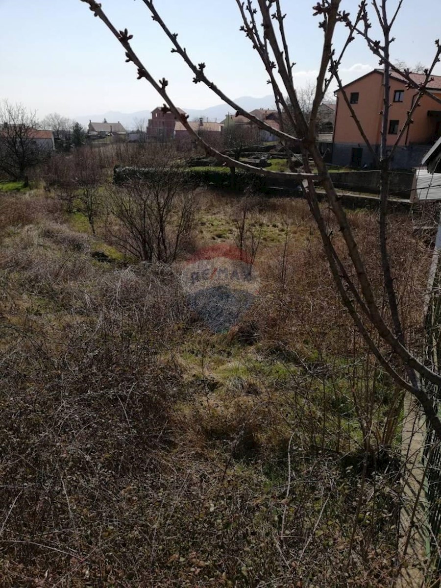 MARČELJI