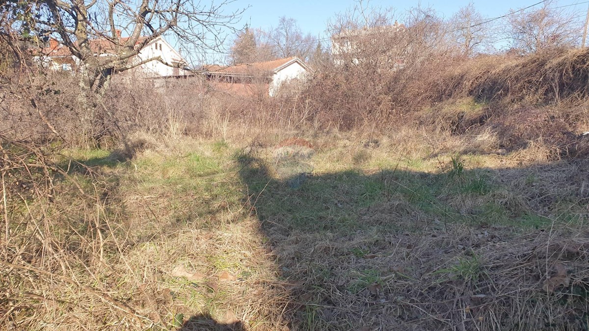 MARČELJI