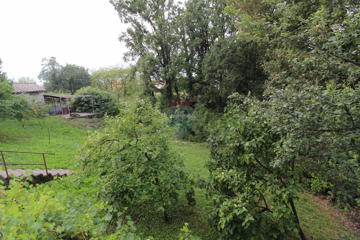 MATULJI