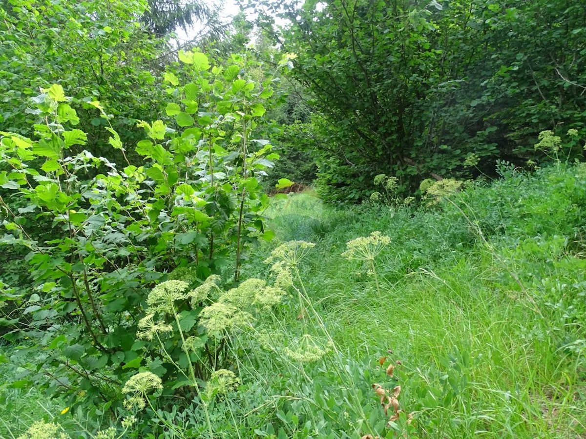 FUŽINE