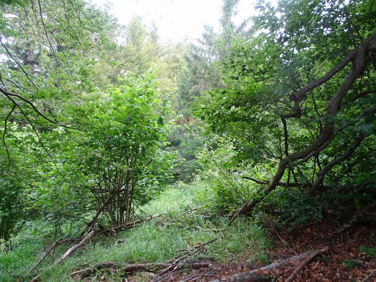 FUŽINE