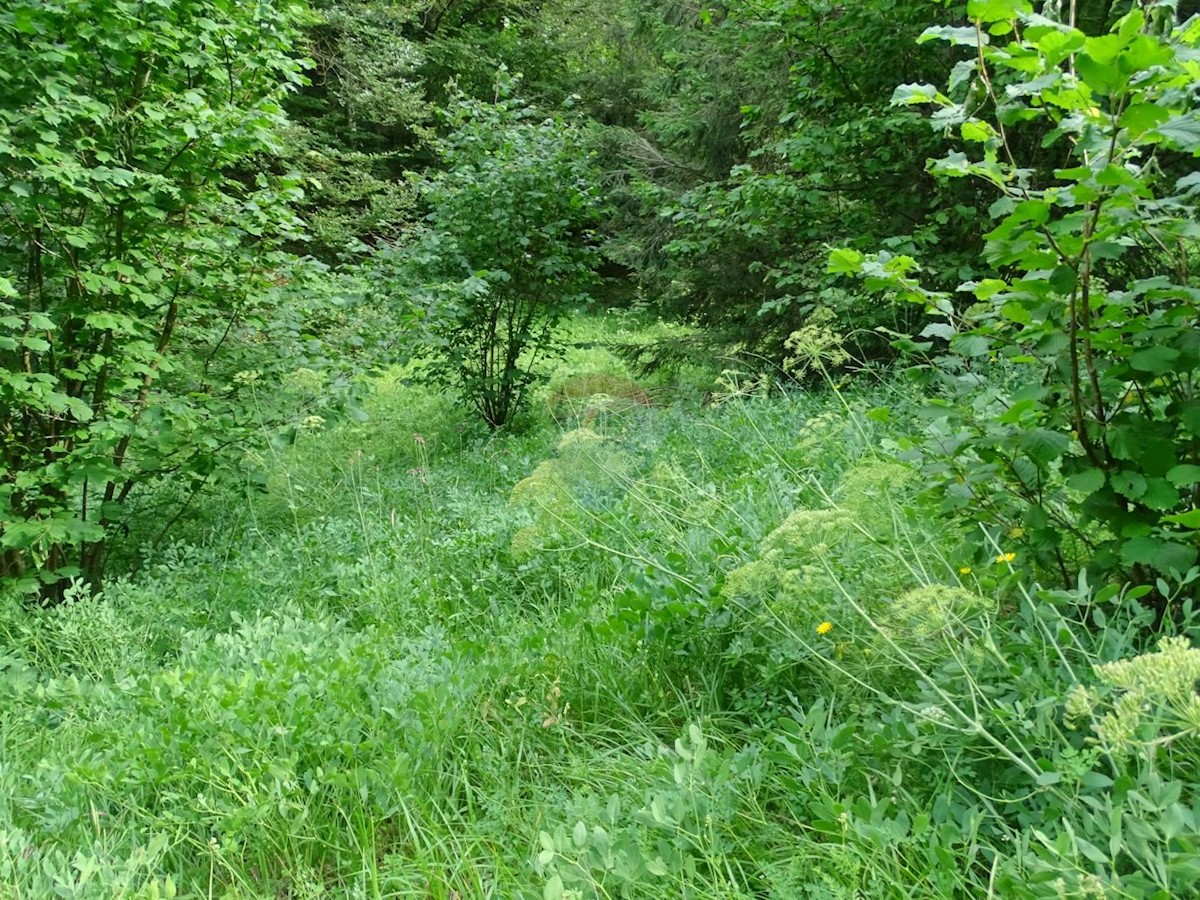 FUŽINE