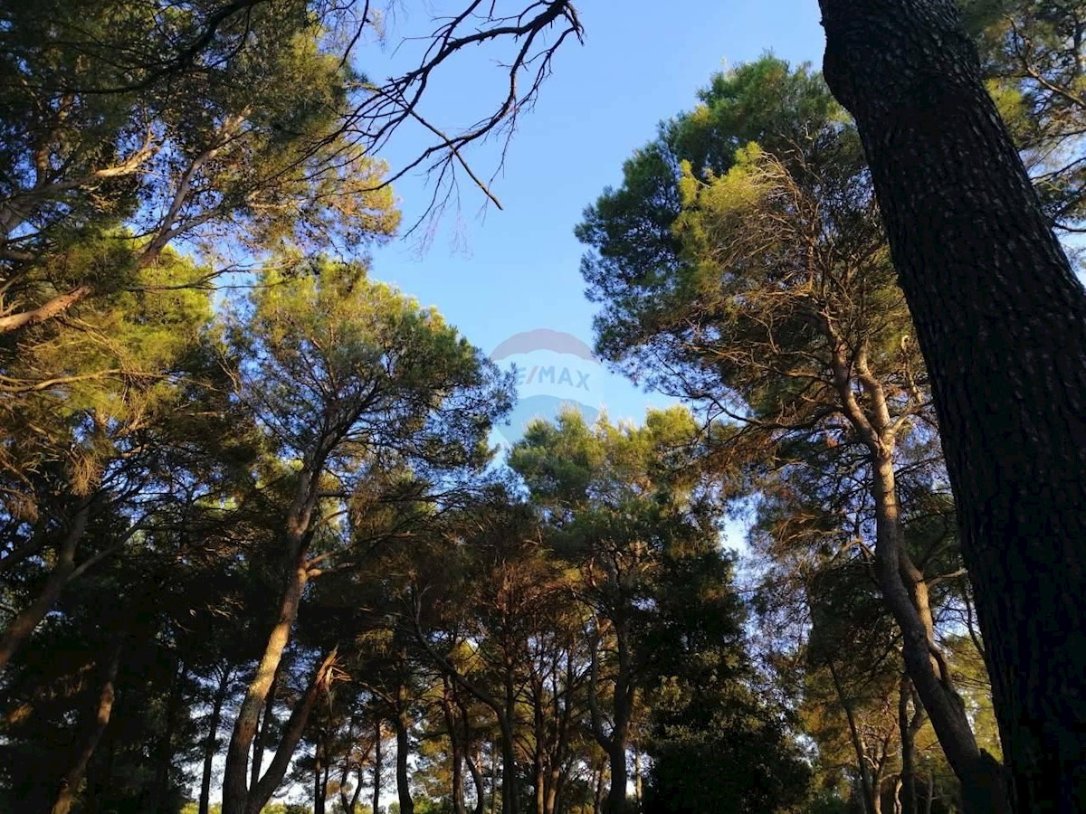 ROVINJ