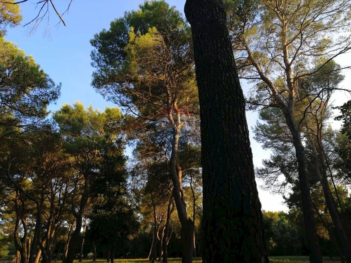 ROVINJ