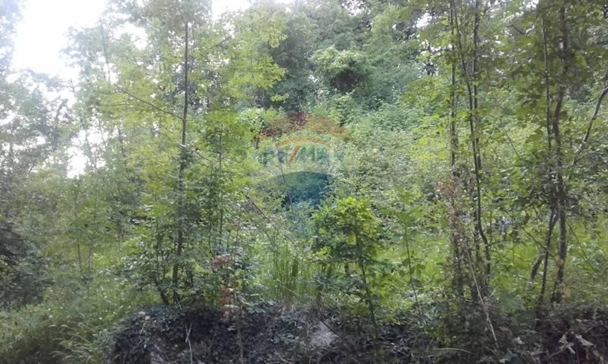 RUKAVAC