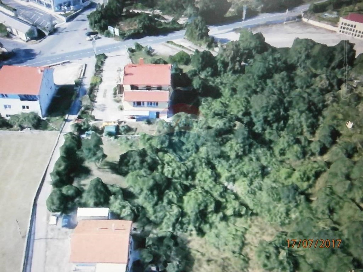 MARČELJI